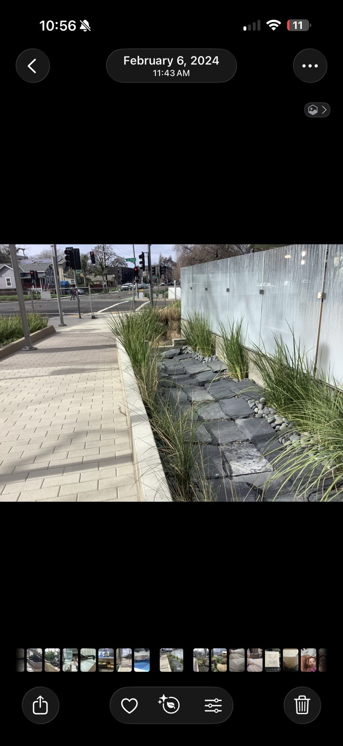 Commercial landscape with ornamental grasses, natural stone, and a curved concrete walkway
